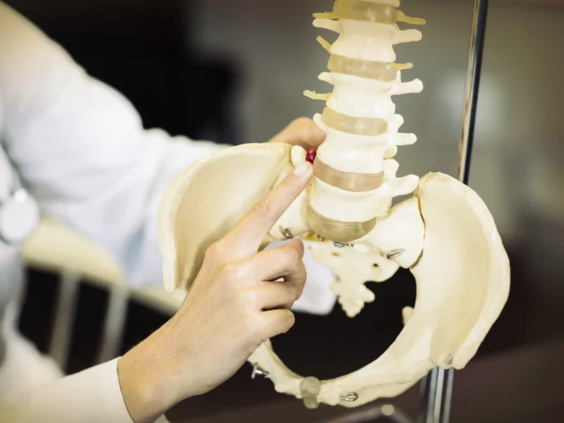 Gonstead Technique at Towson Integrative Health in Towson